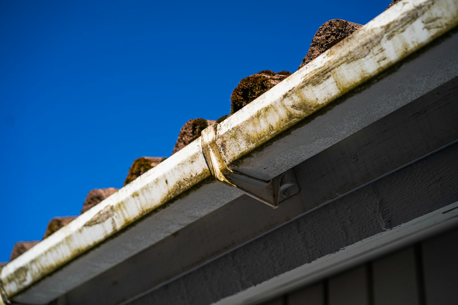 Gutter and roofline before cleaning