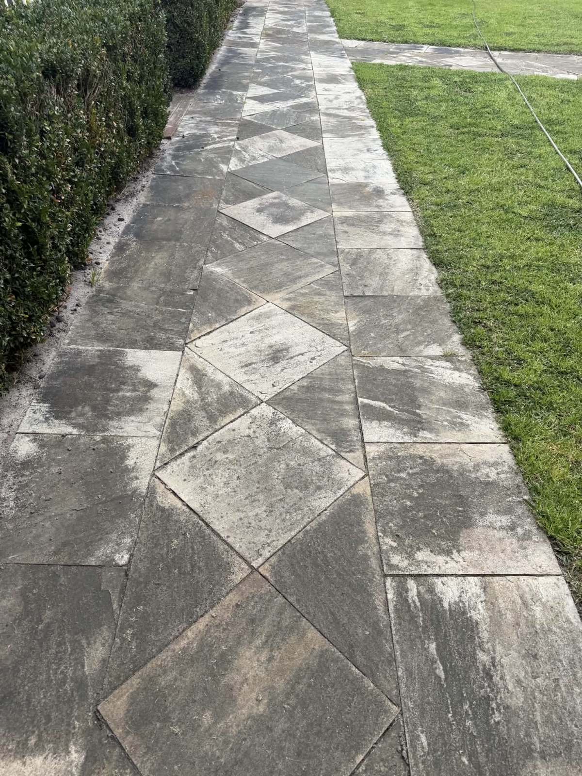 Driveway and path cleaning